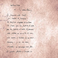 el autor